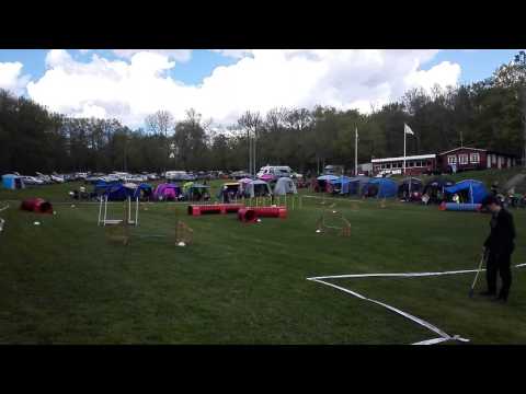 Ronneby BK 14/5-15, hoppklass 1a Small