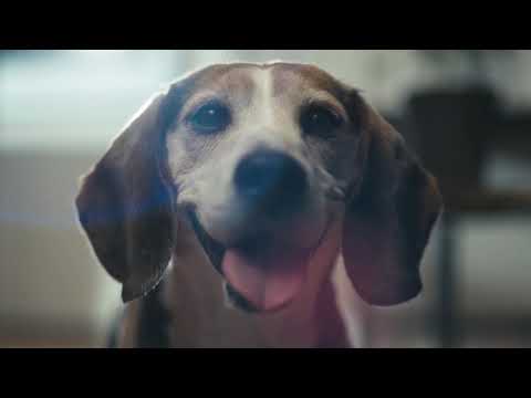 CES 2021 Jetbot 90 AI with Personalized Petcare Service l Samsung