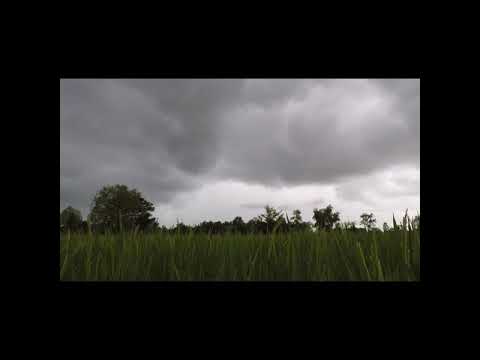 🌈 Beautiful Scene of Rain with Best Poetry of Gulzar Sir 🌧🌧