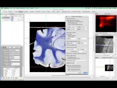 HistoloZee Tutorial 13 - Exporting reconstruction projects as 3D "NIfTI" images