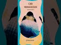 Sugida Salonka Dulqaad Mujiya Danyeerada Iskukaris Niiko Dabowayn Somaligirlstiktok