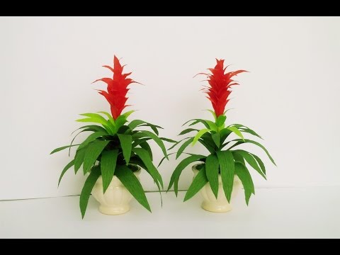 How To Make Guzmania ' Rondo ' Flower From Crepe Paper - Craft Tutorial