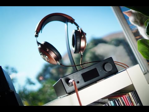 Autumn Leaves - Best Voice for Everyday - Audiophil NBR Music