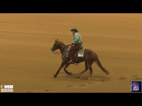 2021 Quarter Horse Congress Open Futurity Finals Romain Ampe on She Whiz Hotdamalama