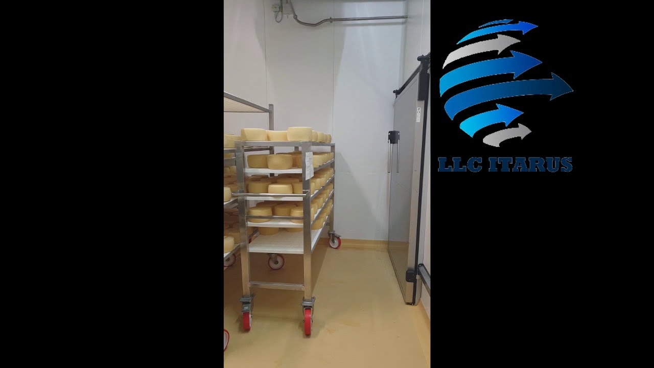 Камера созревания сыра 