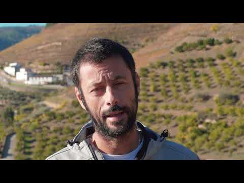 ReWine | Vídeo 4 - Outras medidas e desafios de Economia Circular