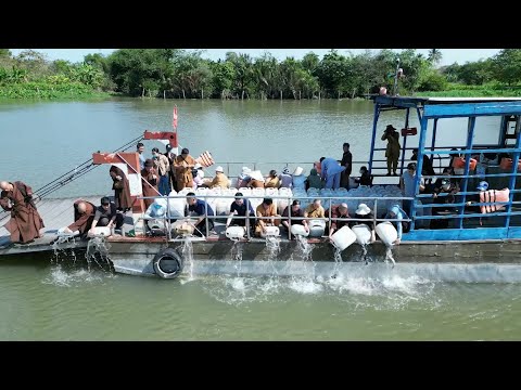 Ban Từ Thiện chùa Hoằng Pháp làm lễ phóng sanh