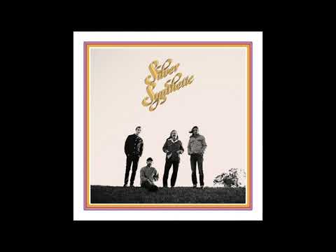 Silver Synthetic - Chasm Killer (Official Audio)