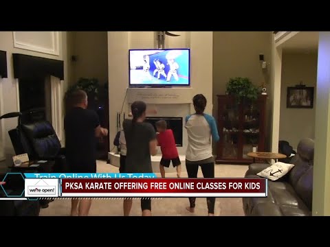 Metro Detroit martial arts group offering free Zoom classes to kids