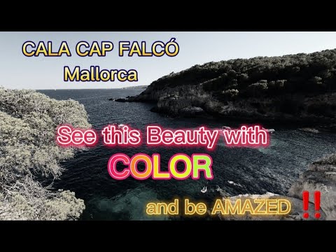 Cala CAP FALCÓ July 2022: Small but Amazing Beach in Mallorca