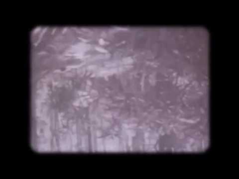 Wømb - Akinetic Mutism (Malthusian Catastrophe)