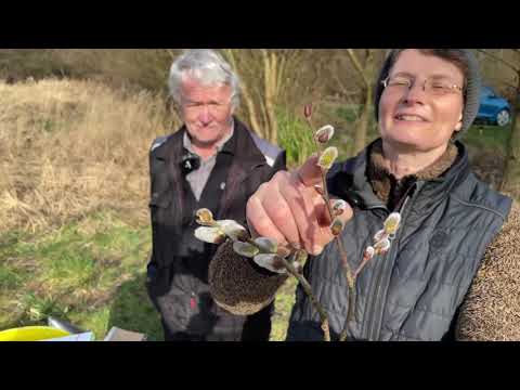 Live von Pias Bienenstand 27.2.21