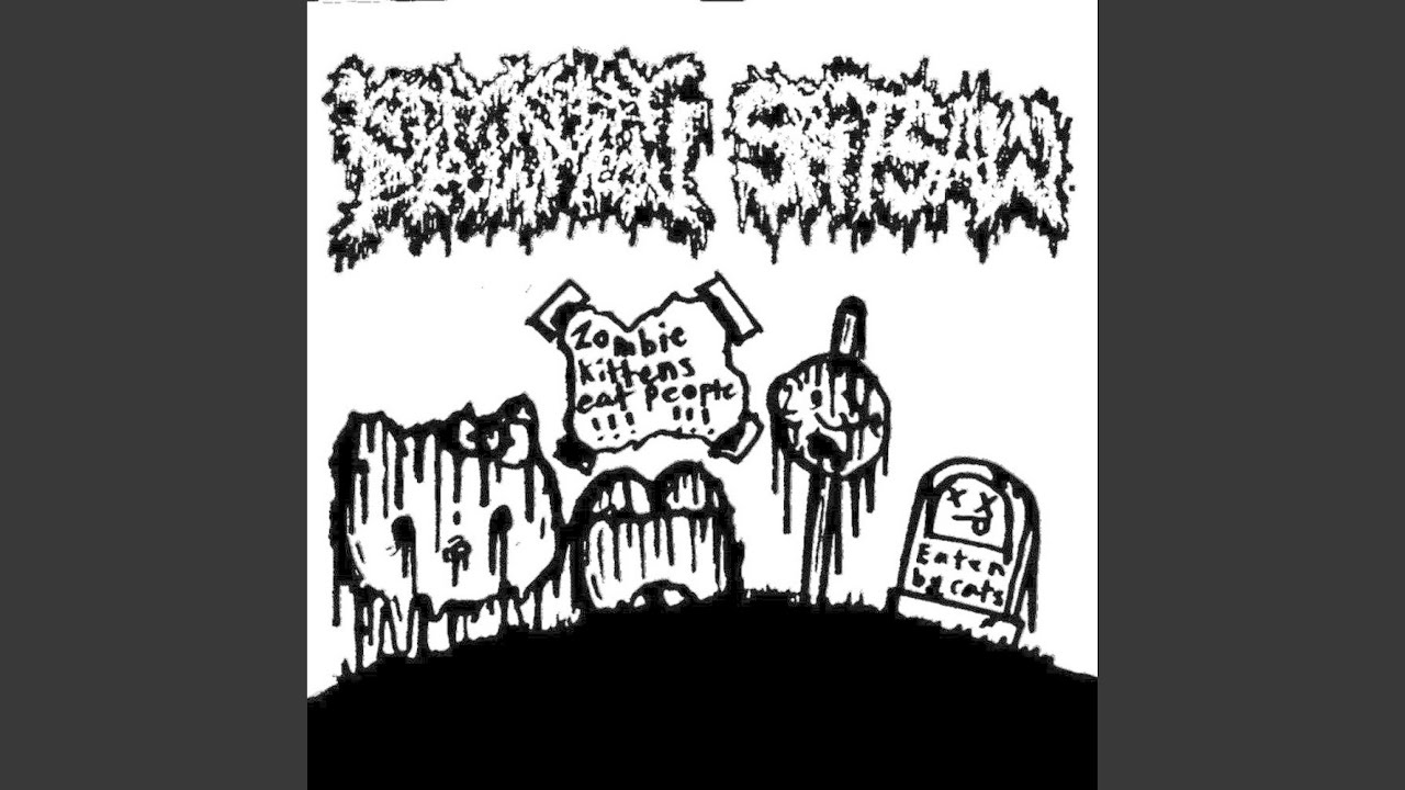 silly kittens using fresh eyeballs as chewtoys