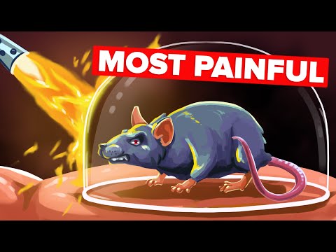 Most Shocking Execution Methods Throughout History