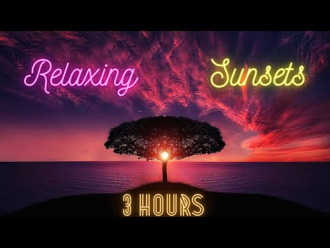 RELAX - Serene Sunsets - Stress Free - 3 HOURS