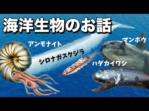 深海:研究者らが驚くべき発見 – 「予想外だった」