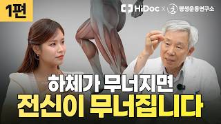 전신의 70%를 차지하는 '하체근육' 엉덩이·허벅지·종아리의 진짜 역할은? | 정형외과 신병준 교수