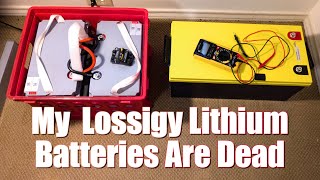 PROBLEMS! #Lossigy Lithium Battery Rockwood Mini Lite Travel Trailer