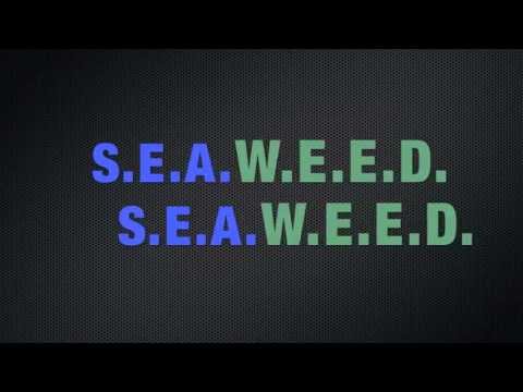 Miami Barz- Seaweed ft. Wiz Khalifa