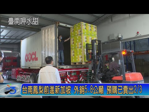 台南鳳梨前進新加坡 外銷5.8公噸 預購已賣出2/3