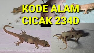 Download lagu tafsir mimpi cicak dan kode alam lengkap 234d mp3 Download lagu tafsir mimpi cicak dan kode alam lengkap 234d mp3