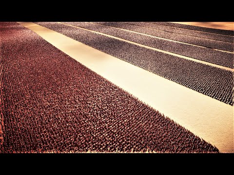 200,000 Orcs Vs 20,000 Roman Soldiers | Ultimate Epic Battle Simulator 2 | UEBS2