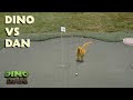 Dino Vs Dan Dino Dan Best Of Dino Kids