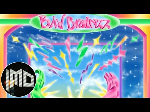 Drippy X JG Dubz X Saigga - Bird Brainzz