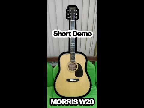Morris W-20 Bild 19