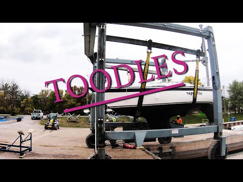 DAY 4: HELP US ON HAULOUT DAY!