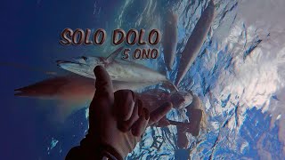 Smashing 5 Onos from SHORE! - Spencer Haskins Spearfishing Hawaii Wahoo