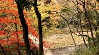 preview picture of video '【動く静止画像シリーズ】嵐山渓谷Vol.2－冠水橋上散策路から俯瞰'