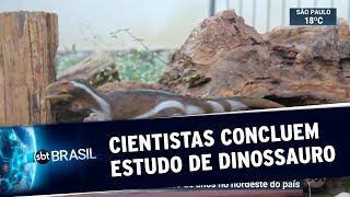 Miniatura do vídeo