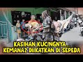 NGERIII POLLLL ️ ️KUCINGNYA DITALI DIBAWA MENEMANI NGAMEN