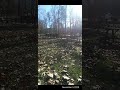 Civil War Reenactment