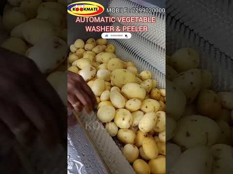 Potato Washing And Peeling Machine