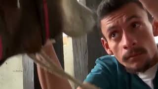 02 b   nota   miguel moreno   carne de burros