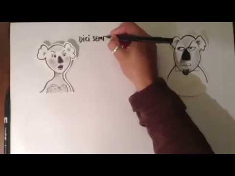 #Riflessioni de "iKoalaconleali"