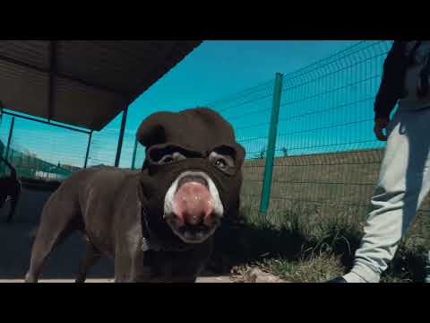 Eddy Woogy  - NARDINOUMOUK - ( Sur une instrumentale de Karlit )