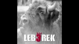 LEBEREK - NEW ALBUM IS COMING SOON!!!