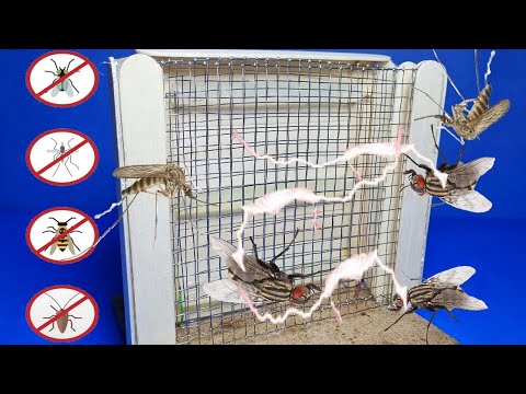 3 Beautiful Projects That Are Useful for the Summer Months