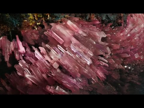 Channel 4 Continuity & Advert Breaks - Sunday 19th March 2017