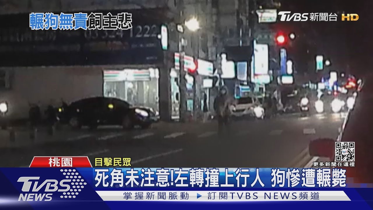 死角未注意!左轉撞上行人 狗慘遭輾斃