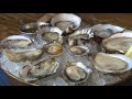 How to eat oysters (and not be weirded out) - Edible Education - KING 5 Evening How to eat oysters (and not be weirded out) - Edible Education - KING 5 Evening