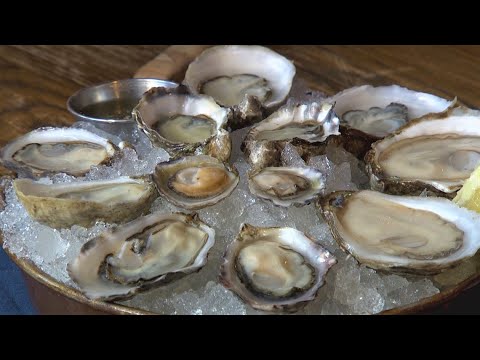 How to eat oysters (and not be weirded out) - Edible Education - KING 5 Evening