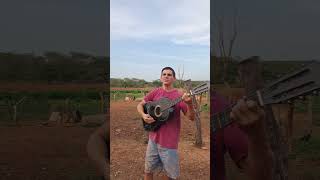 olha que linda música,  Lábios Divididos