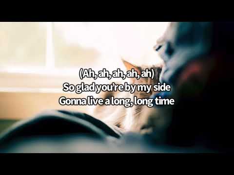 Relient K - Cat | Lyric Video