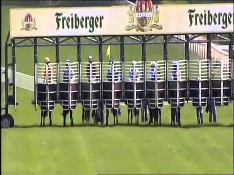 Horse racing in Bad Doberan 2