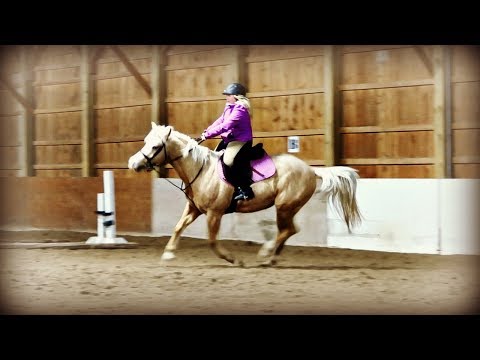 WHEN YOUR INSTRUCTOR  DOESN'T PUT UP WITH ANY CRAP AND FIRST RIDE IN MY NEW SADDLE