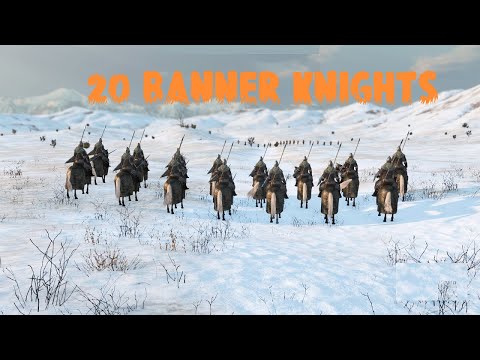 How Good are 20 Vlandian Banner Knights? | M&B : II Bannerlord